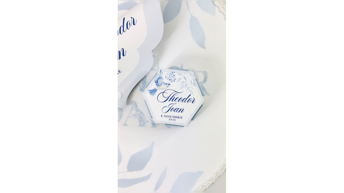 Trusou botez baietel Hot Air Balloon Blue Toile cu baloane de aer cald design elegant 7